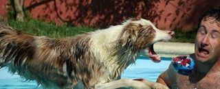 Der will nur Spielen.....