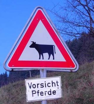 Wie meinen?